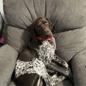 Meet your Posher, Nothannah